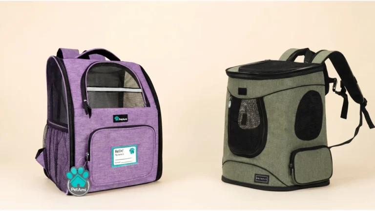 Cat sitting inside an open cat backpack outdoors, owner preparing for a hike